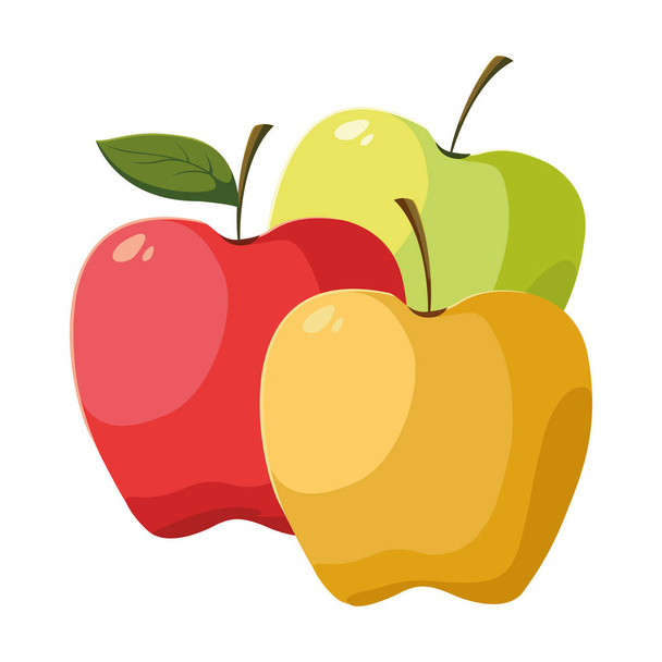 İzole edilmiş elma meyve vektör tasarımı - Vektör, Görsel