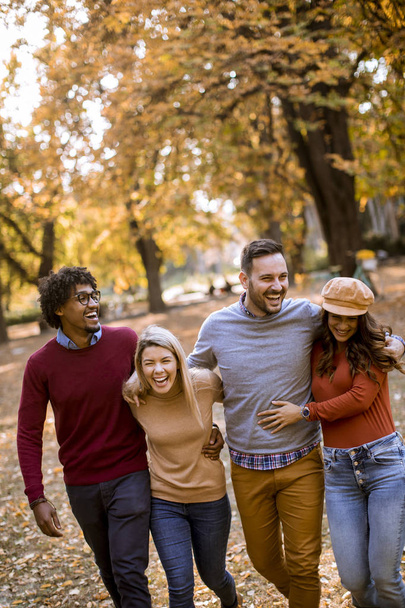 Gruppe multiethnischer junger Leute spaziert durch den Herbstpark und hat Spaß - Foto, Bild