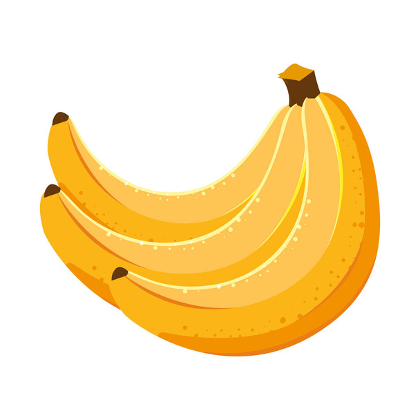 Απομονωμένες μπανάνες σχεδιασμός φορέα φρούτων - Διάνυσμα, εικόνα