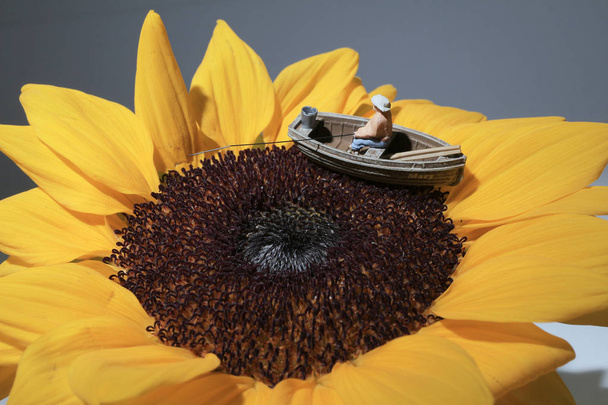 a mini figure is fishing on the sun flower - Photo, Image