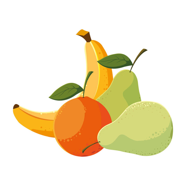 Isolated tropical fruits set vector design - Vetor, Imagem
