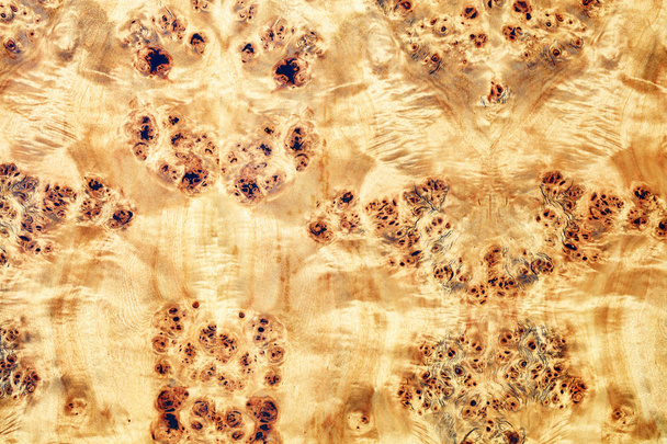 Hermoso fondo irregular de chapa de madera con estampados de leopardo
. - Foto, Imagen