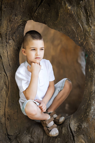 thinking boy sitting in the tree - Photo, image