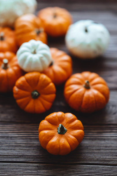Diverse assortment of pumpkins on a wooden background. - Фото, изображение