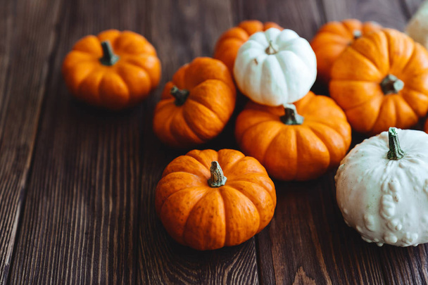 A group of miniature pumpkin - Foto, Bild