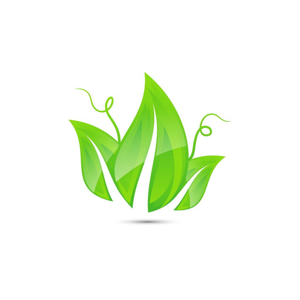 Fresh, green leaf nature vector icon that shiny - Vector, Image