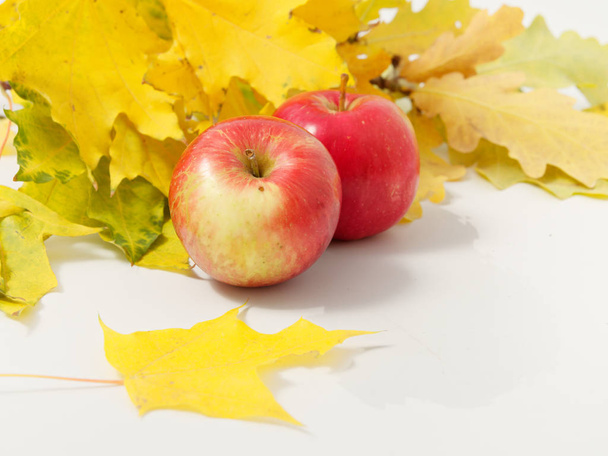 yellow autumn leaves with red apples on a white background - Foto, Imagem