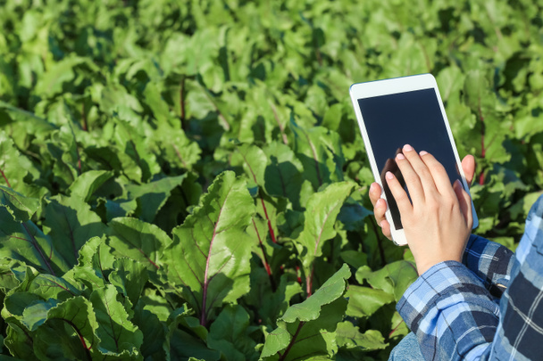 Female farmer with tablet computer working in field - Photo, image