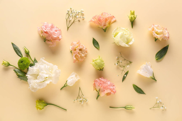 Όμορφη σύνθεση με λουλούδια στο φόντο χρώμα - Φωτογραφία, εικόνα