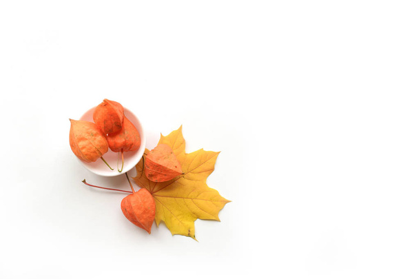 Jesienny skład ramy liści klonu i Physalis. Płaski lay, widok z góry - Zdjęcie, obraz