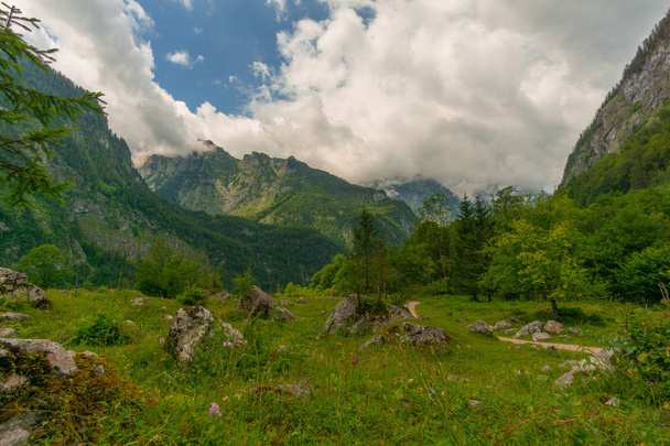 A mountain meadow in spring with high mountains in the background - Foto, afbeelding