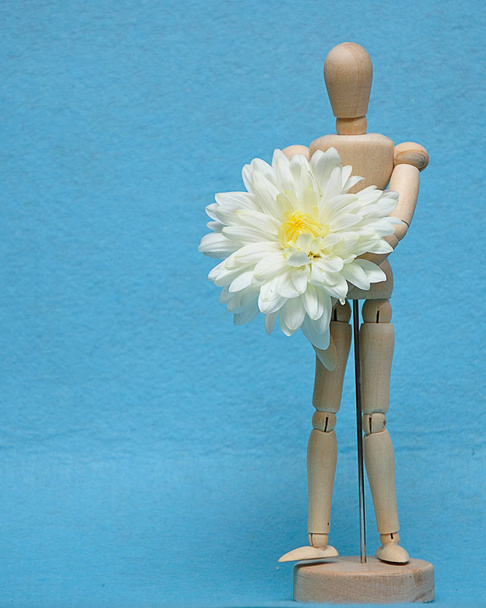 A wooden mannequin display with a white aster against a blue background - Fotografie, Obrázek