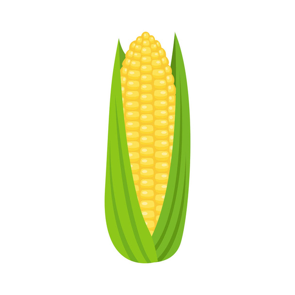Du maïs. Illustration vectorielle
 - Vecteur, image