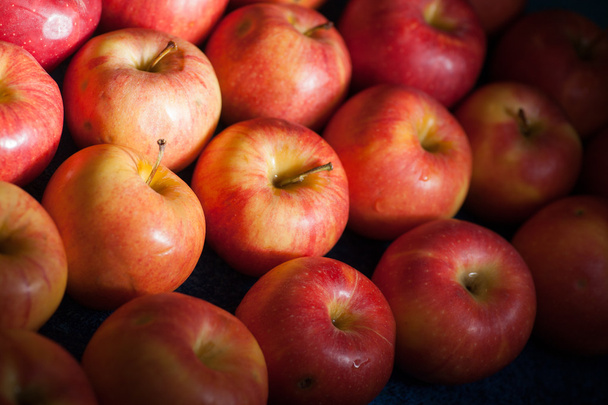 veel appels - Foto, afbeelding