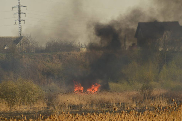 coastal zone of marsh creek, strong smoke from fire of liana overgrowth. Spring fires of dry reeds dangerously approach houses of village by river Cleaning fields of reeds, dry grass. Natural disaster - Photo, Image