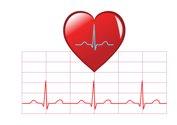 gezond hart illustratie - Vector, afbeelding