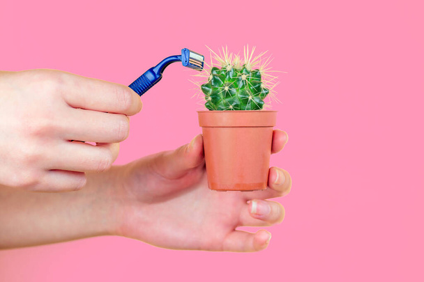 green cactus in a brown pot and a razor on a pink background. the concept of depilation, epilation and removal unwanted hair on the body - Photo, Image