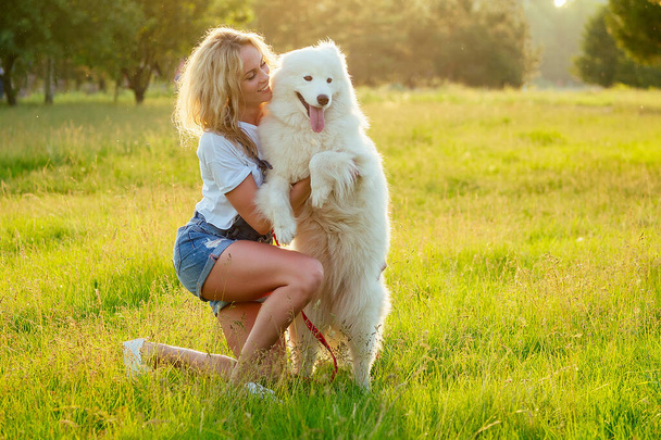 beautiful and charming curly blonde smiling toothy woman in denim shorts are sitting at glass hugging white fluffy cute samoyed dog in the summer park sunset rays field background . pet and mistress - Photo, Image