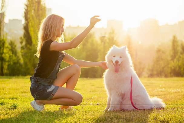 beautiful curly blonde smiling happy girl in denim shorts are sitting at glass and training a white fluffy cute samoyed dog in the summer park sunset rays field background . pet and hostess - Photo, Image