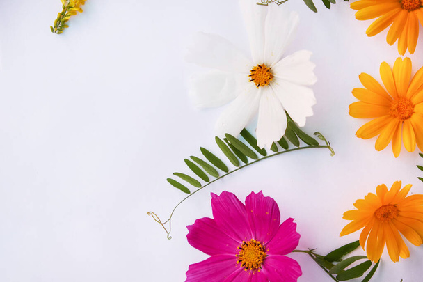 Composição de flores. várias flores coloridas no fundo branco. Deitado plano, vista superior. flores silvestres amarelas e vermelhas
. - Foto, Imagem
