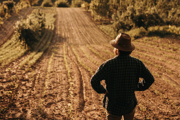 Anonymous farmer looking at plowed field - Photo, image
