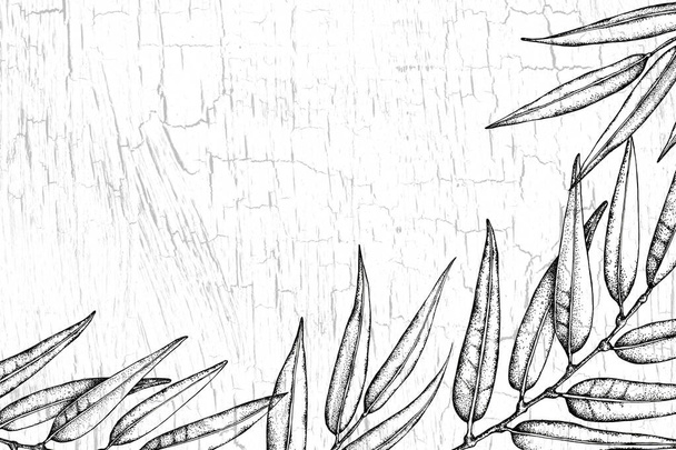 Gras, Blätter, Zweige auf einem gehäkelten rissigen Hintergrund. Handgemachte Illustration mit Pflanzen auf einer Textur mit Kratzern und Pinselstrichen. für die Gestaltung von Vorlagen, Hintergründen, Hochzeiten, Bannern. - Foto, Bild