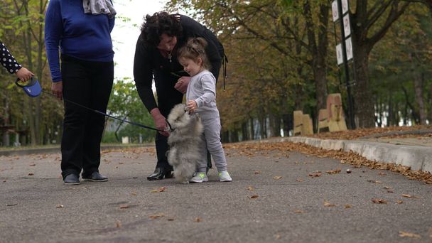 Großmütter und kleine Enkelin spielen mit kleinem Hund im Park - Foto, Bild