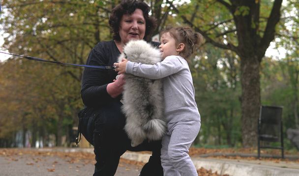 Grand-mère et petite-fille jouant avec le chien litttle dans le parc
 - Photo, image