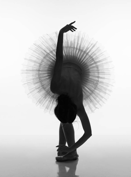 Ballerina in ballet tutu and pointe shoes posing in studio. - Photo, Image