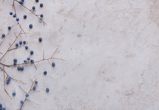 Creative autumn blackberries on dry branches on gray - Valokuva, kuva