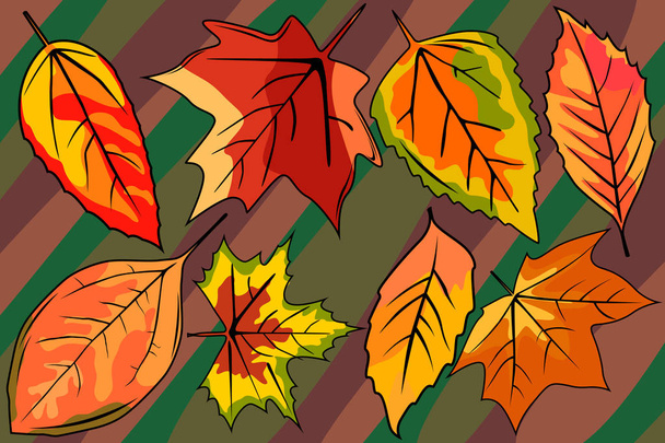 Set e sfondo nello stile delle foglie autunnali. Foglie gialle e rosse. Immagine di autunno elegante di foglie
. - Vettoriali, immagini