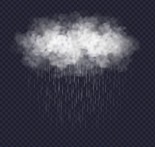 Rainy cloud isolated on transparent background. Realistic storm cloud with rain. - Vector, Image