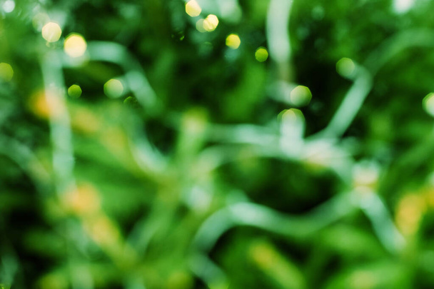 defocused green festive background yellow sparkles - Fotografie, Obrázek