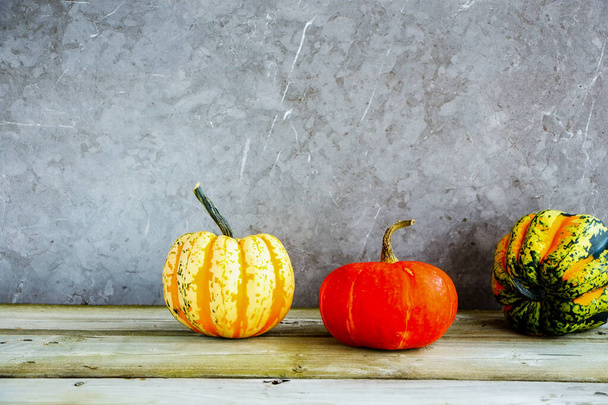 Pumpkins on concrete table - Photo, image