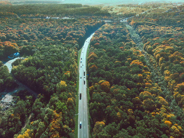aerial view of autumn highway in forest - Photo, Image