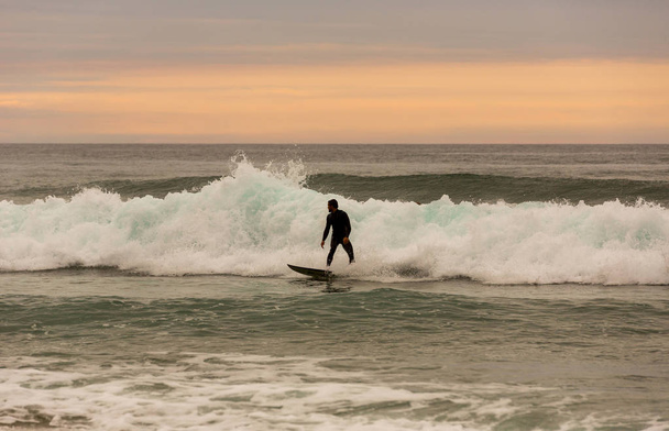 Surfer at sunset - 写真・画像