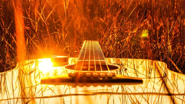 Una chitarra gialla giace nell'erba alta contro il sole al tramonto
. - Foto, immagini