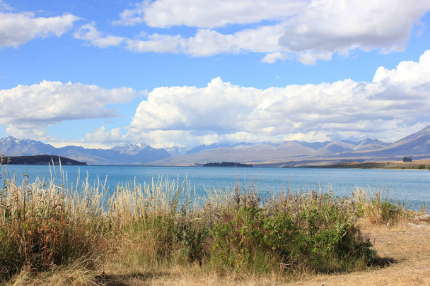Озеро Текапо, яке видно з степу. - Фото, зображення