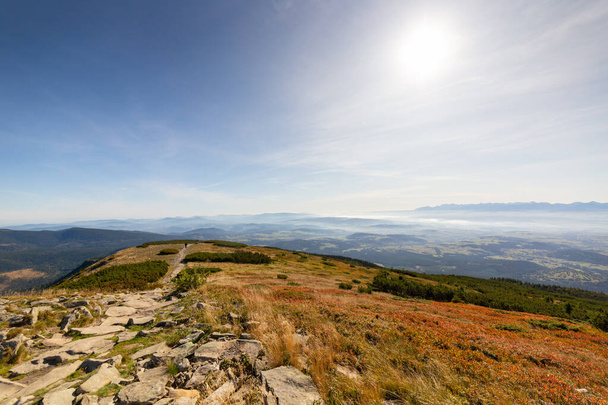 Вид на гори Татра з Бабіа-Гора в Zywiec Beskids - Фото, зображення