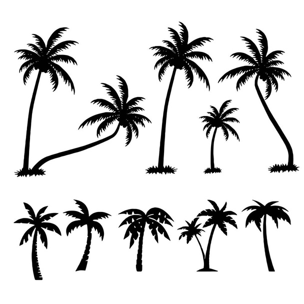 Palmy tropikalne Zestaw ikona na białym tle - Wektor, obraz