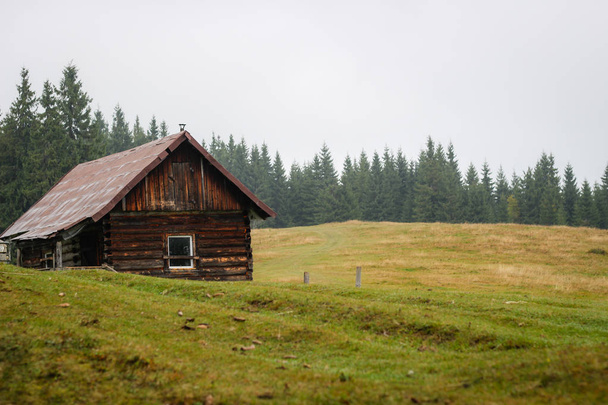Stary dom w górach. Mgła. O świcie. Górska łąka Gicha. Ca - Zdjęcie, obraz
