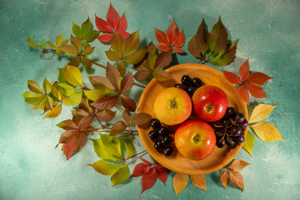 Ripe grapes and apples in a wooden round plate. A branch of wild grapes with brightly autumn leaves. Autumn still life. - Foto, afbeelding