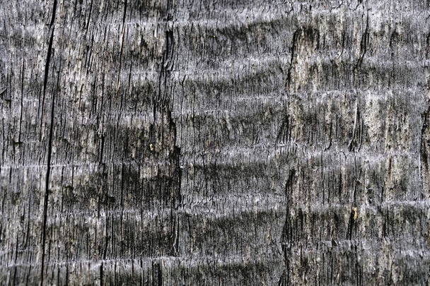 old wooden surface. wood texture. the background. - Foto, Bild