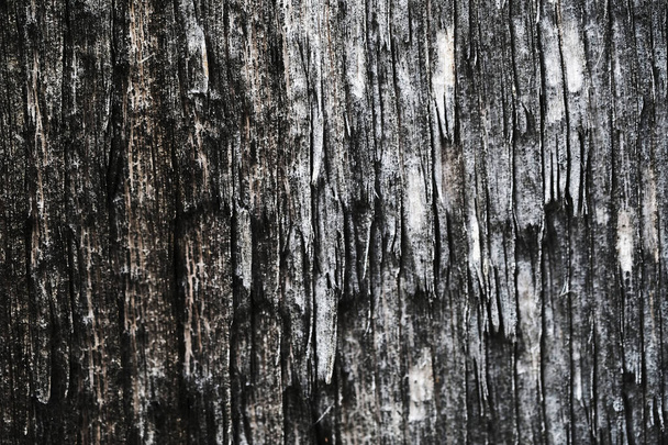 old wooden surface. wood texture. the background. - Foto, immagini