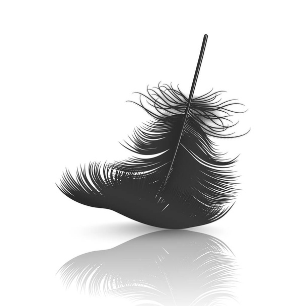 Vector 3d Realist Falling Black Fluffy Twirled Feather with Reflection Closeup Isolated on White Background Дизайн Template, Clipart of Angel or Detailed Bird Quill, Nib - Вектор, зображення