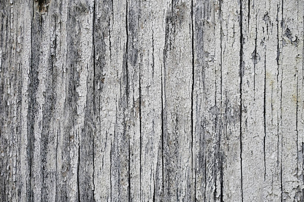 old peeling paint. wood texture. the background - Valokuva, kuva