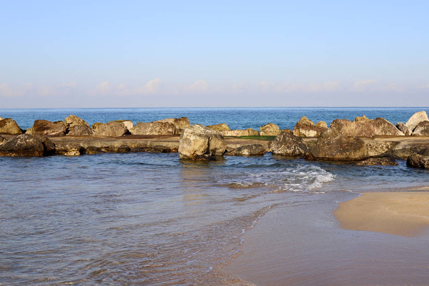 大きな石や貝殻はイスラエル北部の地中海沿岸にあります  - 写真・画像