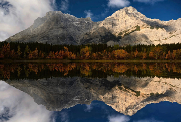 小さな高山湖のまだ水の中に山と黄色のアスペンの木の完璧な反射。カナダのロッキー山脈の秋のシーズン。カナナスキス村キャンモアアルバータカナダ. - 写真・画像