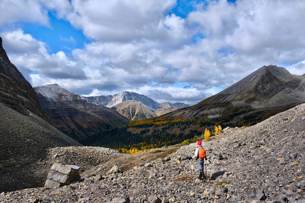 Mujer senderismo en las montañas de las Montañas Rocosas canadienses entre pintorescos picos y árboles amarillos de otoño. Pueblo Kananaskis. Alberta. Canadá
. - Foto, imagen