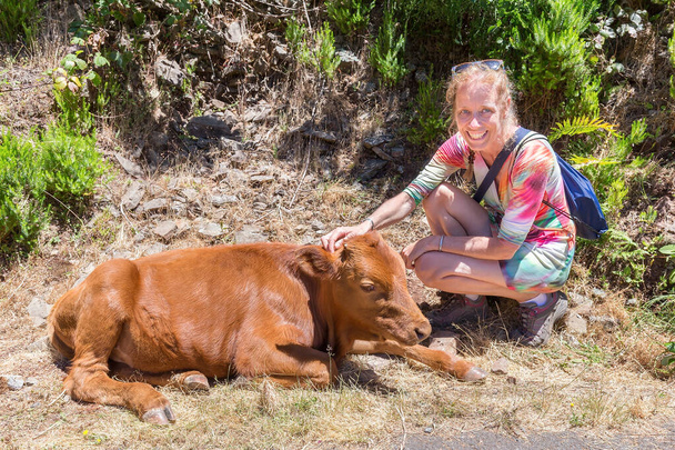 olandese donna accarezzando marrone vitello a bordo strada
 - Foto, immagini